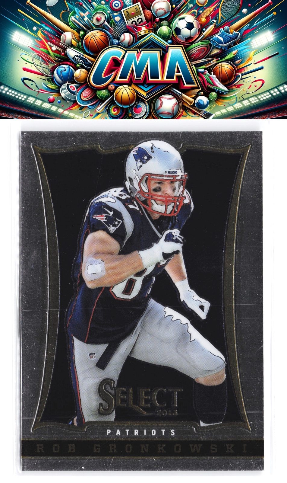 2013 Panini Select #3 Rob Gronkowski