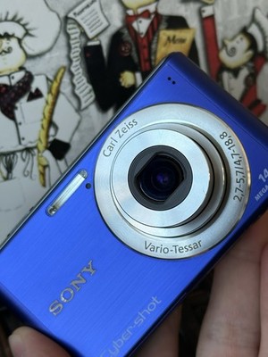 Sony Cyber-shot DSC-W530 14.1MP Digital Camera Blue GOOD w/ Box
