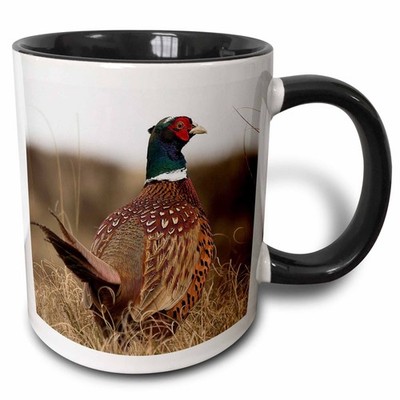 3dRose Ring Neck Pheasant 11oz Two-Tone Black Mug
