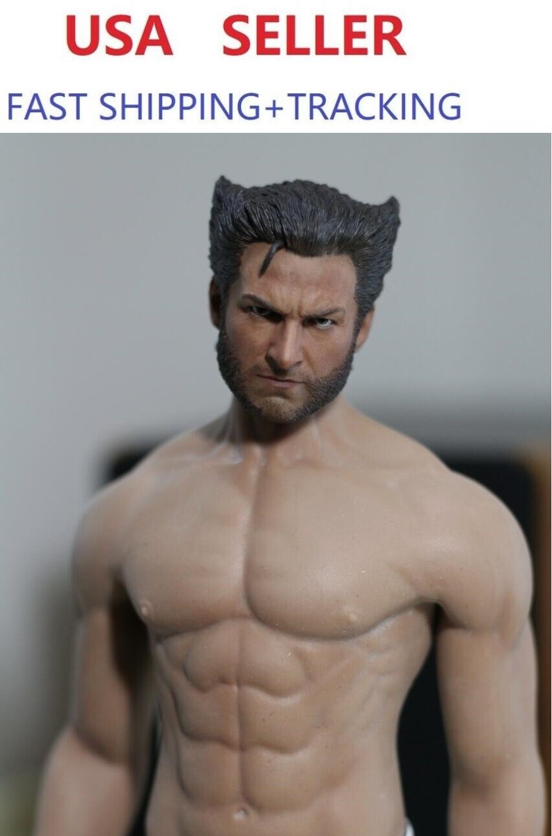 PHICEN M33 1/6 Seamless Male Muscular Body w/ Wolverine LOGAN HEAD