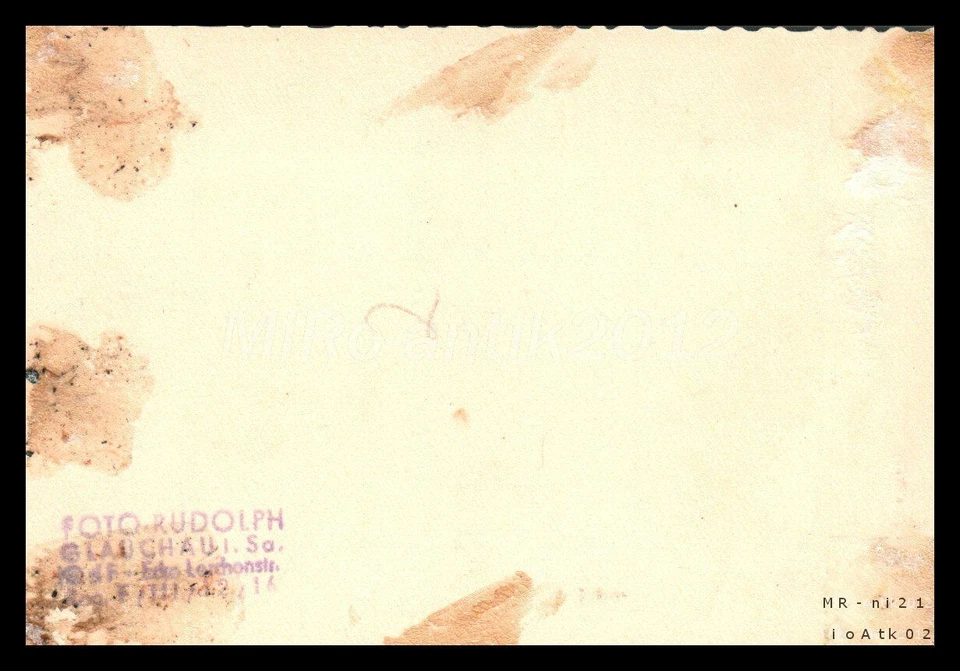 Foto, exposición de perros de raza Erzgeb., cría de teckeles de Glauchau 2, 5... - Imagen 2 de 2