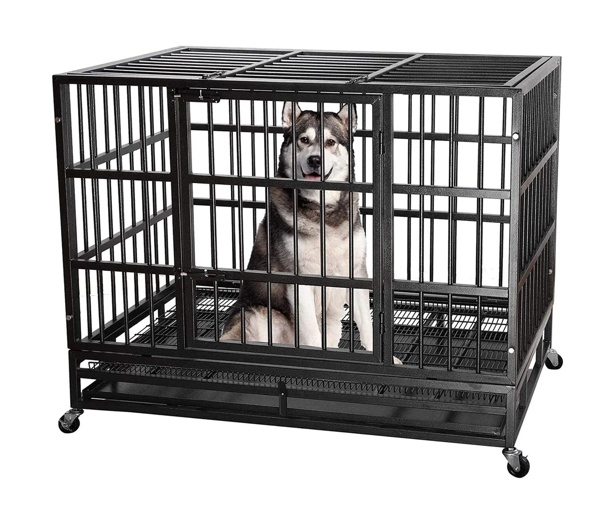 Target dog clearance crates