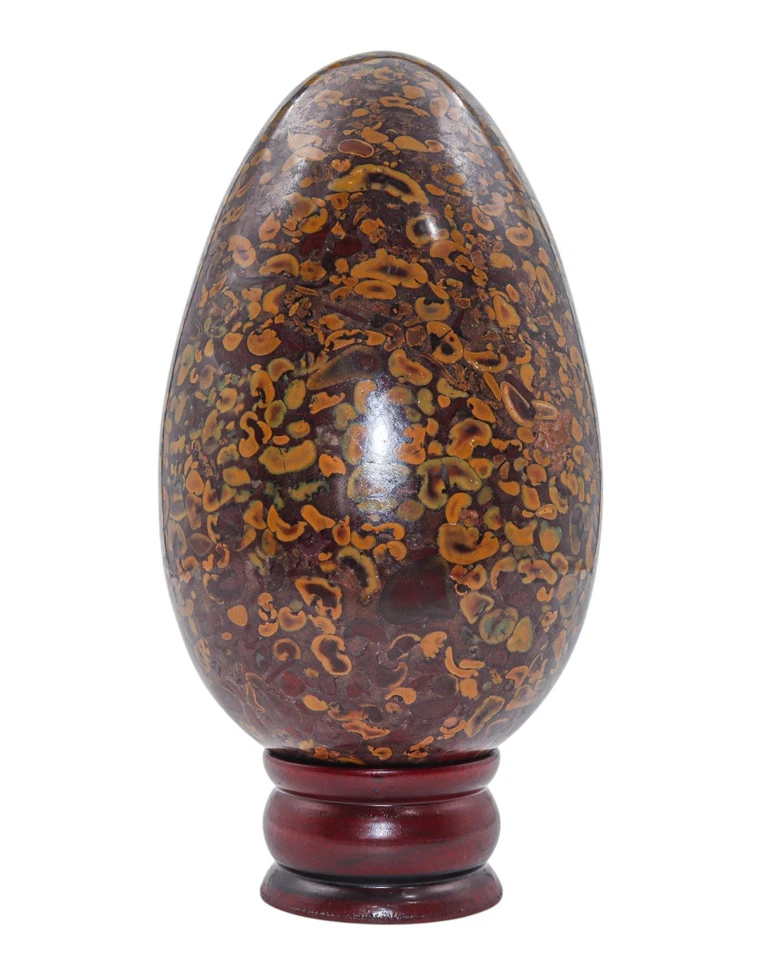 Large 170MM Gorgeous Fossil Coral Jasper Stone Healing Power Metaphysical Egg - Image 4 of 4