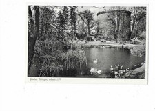 L16 AK Goslar Żywica Hodowla Ludzie Łabędź Staw Nieczynny ok. 1950