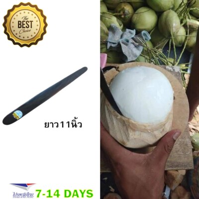 11'' Coconut Tool Opener Meat Young Coconut Knife Real Natural Handmade Very Shar