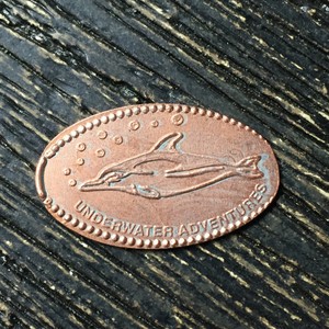 Underwater adventures dolphin Smashed pressed elongated penny P6063 | eBay