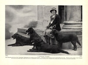1930s Vintage Flat Coated Retriever Print Atherbram Kennels Retrievers 6212L