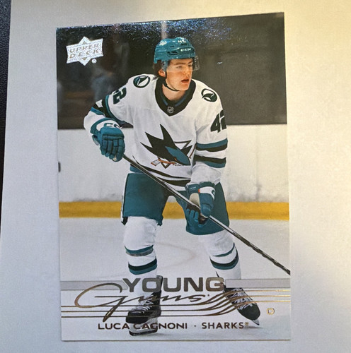 Luca Cagnoni #213 2025 Upper Deck card