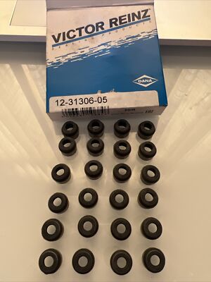 New! Audi VICTOR REINZ Engine Valve Stem OilSeal x24 Set/ 12-31306-05 6060500058