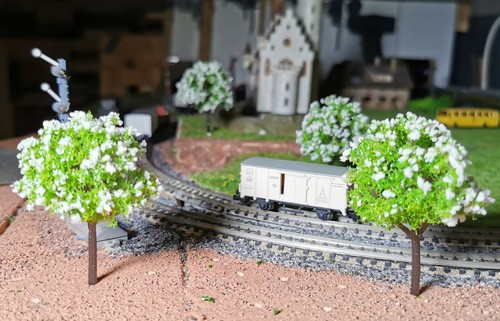 20 White Flowering Trees, 60mm Tall - Picture 5 of 12