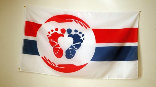 ProLife Fahne Flagge Pro Life Flag Lebensrecht 150 x 90 cm Fahne Wappen PRO LIFE - Bild 6 von 11