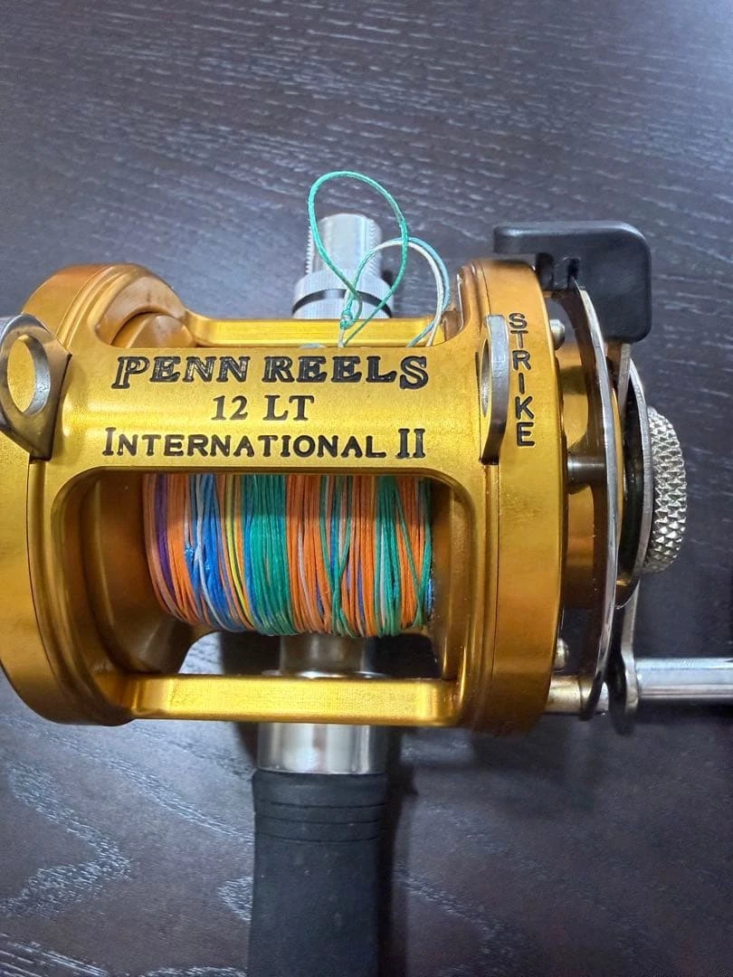 Penn International 12lt for sale | eBay