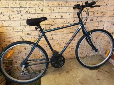 giant mountain bikes gumtree