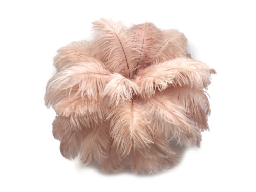 10 Pieces - 8-10" Champagne Ostrich Drabs Body Feathers Centerpiece Mardi Gras - Picture 8 of 11