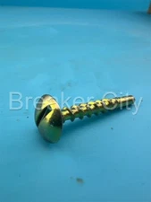 FPE Federal Pacific Electric Door Panel Screw (One Screw) *NEW