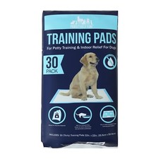 Pawsitively Fun Pet Potty Training Pads 30-Pack for Dogs