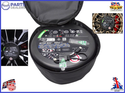 ORIGINAL BMW MINI REIFEN REPARATURSATZ PLUS PUMPE INFLATOR DICHTMITTEL SET BATTERIE 01.2031