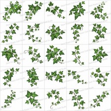 Poison Ivy Leaves Waterslide Nail Decals Set Of 50 Instructions  Bonus KC