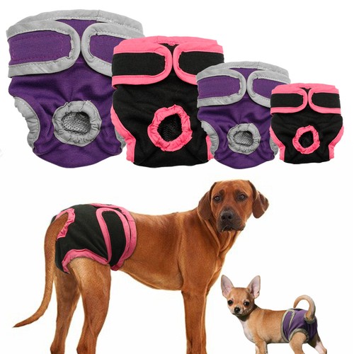 dog menstrual pad