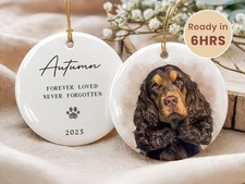Custom Pet Memorial Ornament, Personalized Pet Portrait Keepsake, Pet Loss Gift