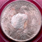 VINTAGE RATTLER PCGS MS-64! 1923 PEACE DOLLAR WITH TARGET TONING!