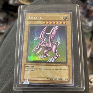 Seiyaryu | eBay