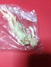 Garage Kit Fist of the North Star Lin Garage Kit Plastic Model