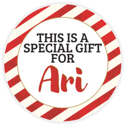 This is a Special Gift for Ari - 3 Pack Circle Stickers 3 Inch - Christmas