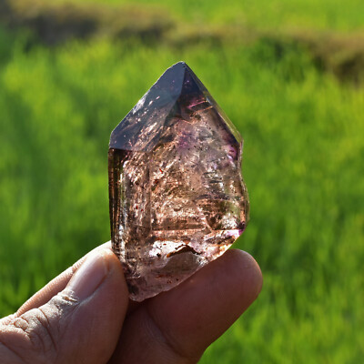 SMOKY AMETHYST QUARTZ ENHYDRO SCEPTRE CRYSTAL HIMALAYAN TIBETAN LEMURIAN ICE S7M