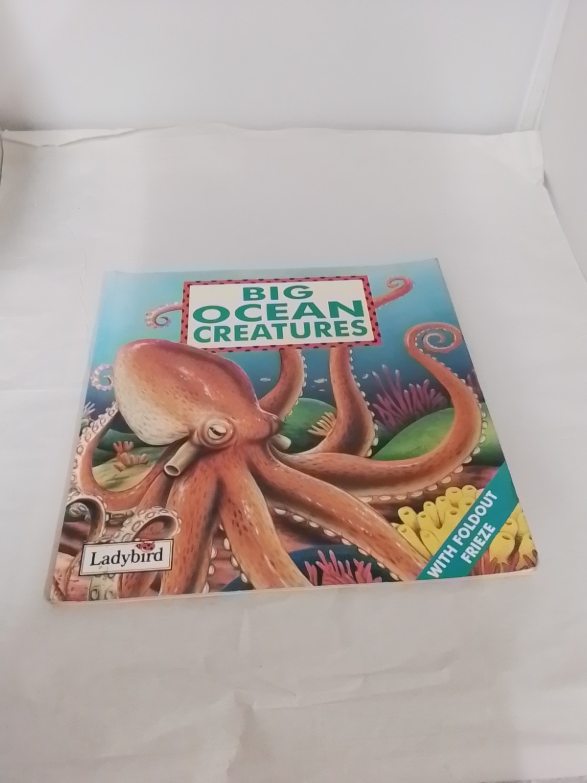 Big Ocean Creatures (First Discovery Series),Mary Gribbin, Peter Bull