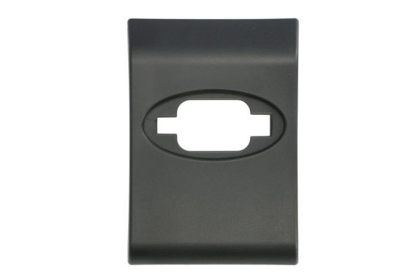 Left BLIC 5703-06-6089577PP Trim/Protection Strip, quarter panel for RENAULT