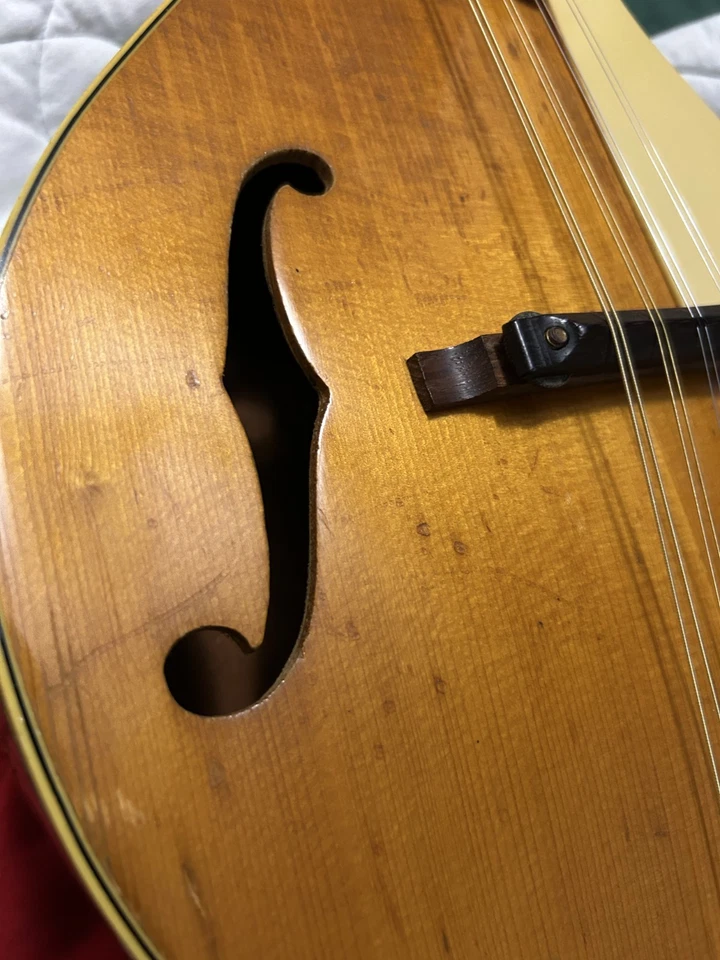 1959 Concert mandolin Kay k68 original string instrument. vintage kluson tuners - Image 4 of 4