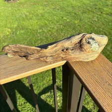 Natural Driftwood 15x3 Embedded Granite Dense Hardwood Rustic Wood Decor