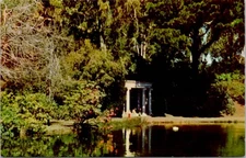 postcard Golden Gate Park