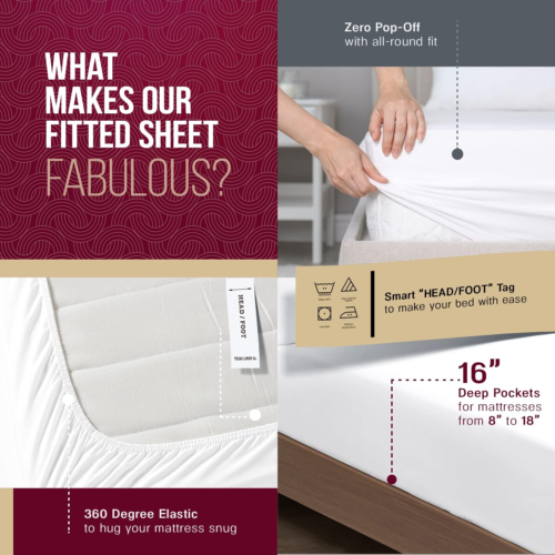 Luxury Egyptian Cotton Twin XL Sheet Set 800 Thread Count 3 PC Light Blue Egypti - Picture 4 of 9