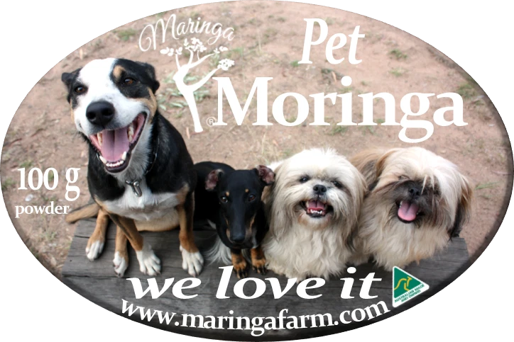 Moringa Powder For Dogs and Cats Australian Made