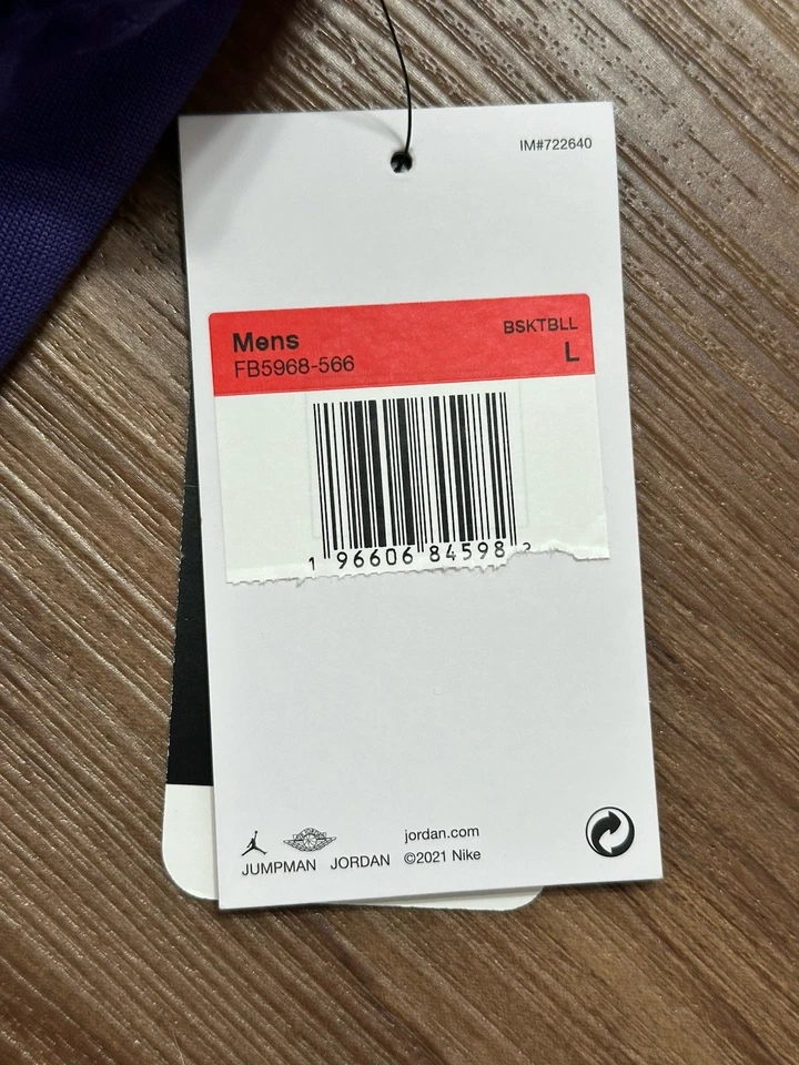 Sudadera con Capucha Nike Jordan Charlotte Hornets Jugador de la NBA Emitida Púrpura Sin Mangas Talla L Foto 3 de 4