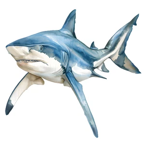 Shark Self Adhesive Sticker