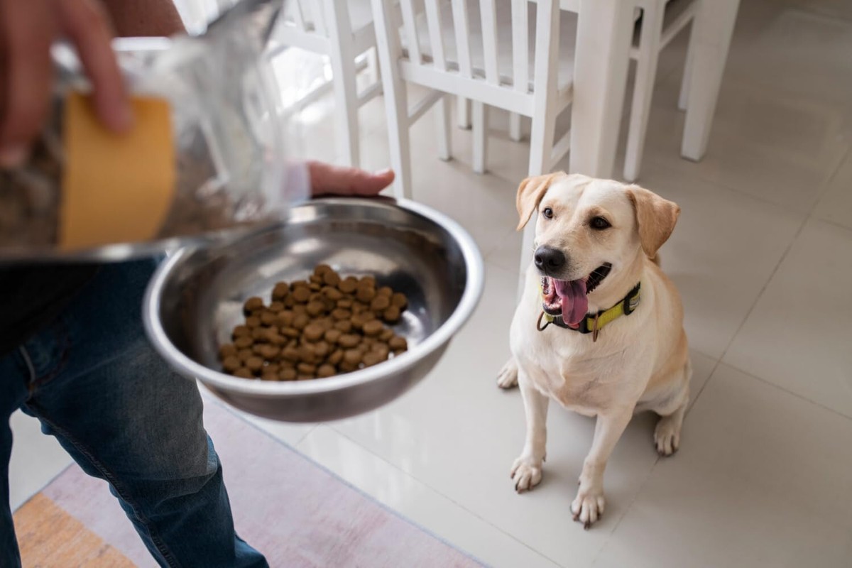 Farmina N&D Quinoa Hundefutter – Skin & Coat Mit Hirsch, Kokos & Kurkuma Für Empfindliche Hunde