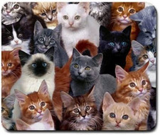 Cats Galore Mouse Pad, Square Anti-Slip Rubber Mousepad, Premium-Textured Mouse