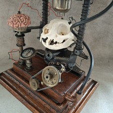 Biomechanisches Experiment Kuriosität Einzel...