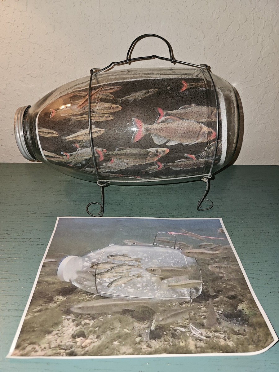 Vintage C.F. Orvis Minnow Trap-Glass W/Wire Frame-Excellent | eBay