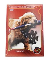 Bruce The Batdog First Official Trading Card