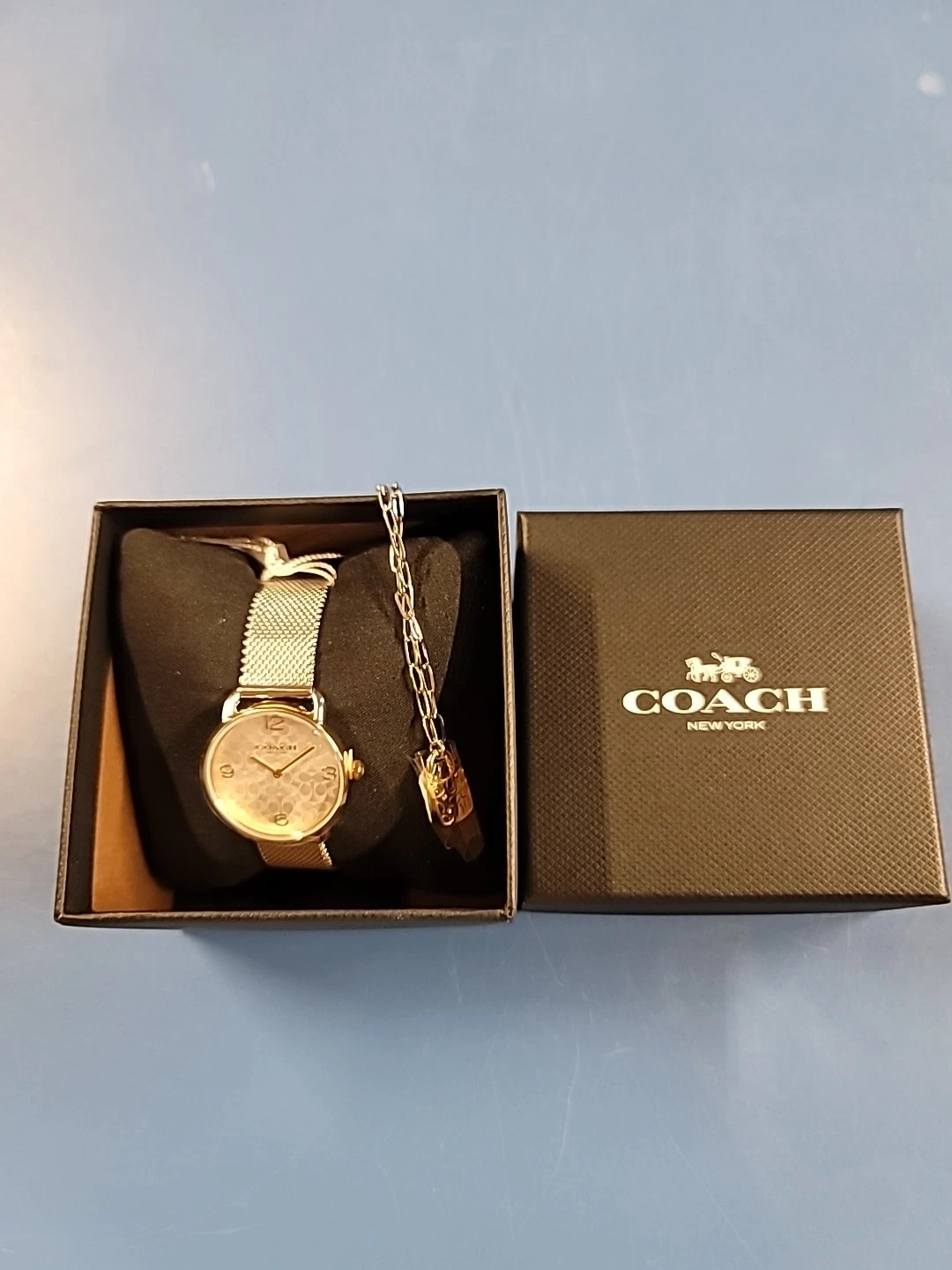Orologio donna COACH Elliot