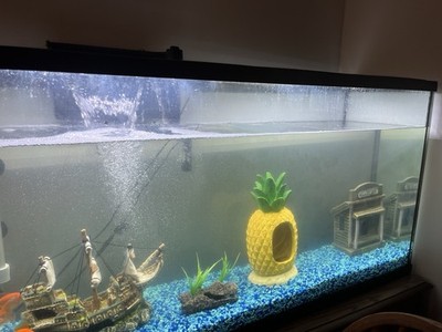 50 Gallon Fish Tank | eBay 50 Gallon Fish Tank | eBay