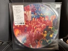 NEW LIMITED EDITION PAUL MCCARTNEY THE BOYS OF DUNGEON LANE PICTURE DISC VINYL