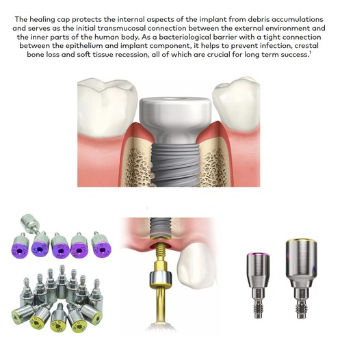 Nobel Healing Cap Abutment Dental RP NP Fit Nobel Active Φ3.6/5.0/6.0 - Picture 4 of 25