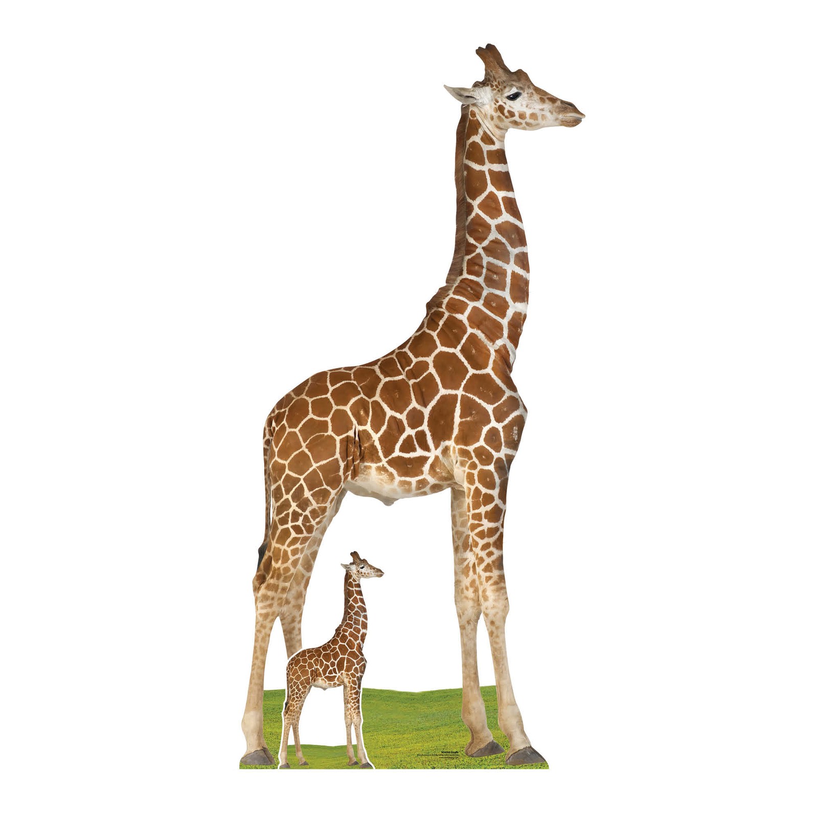 Giraffe Animal Cardboard Cutout with Free Mini Standee Wildlife Jungle Safari
