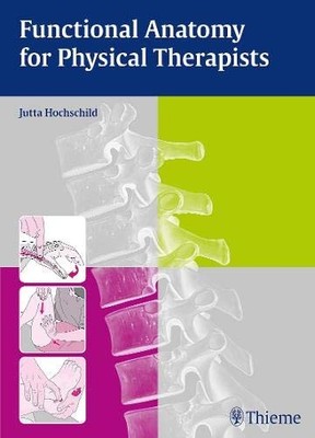 FUNCTIONAL ANATOMY FOR PHYSICAL THERAPISTS By Jutta Hochschild - Hardcover *NEW*