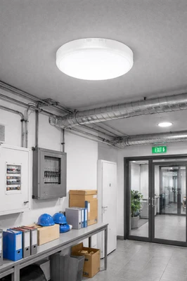 LED Deckenleuchte 20W mit Notlicht, Bewegungsmelder, Farbwahl 4CCT, IP54 Akku 4h - Bild 1 von 4